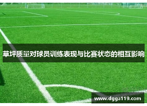 草坪质量对球员训练表现与比赛状态的相互影响